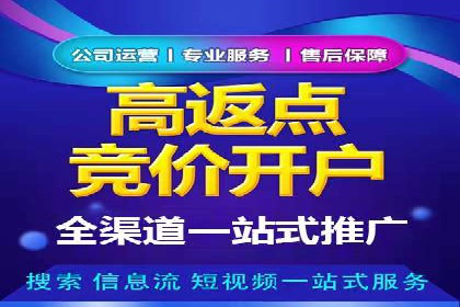 某行业sem代运营推广公司成功案例分析